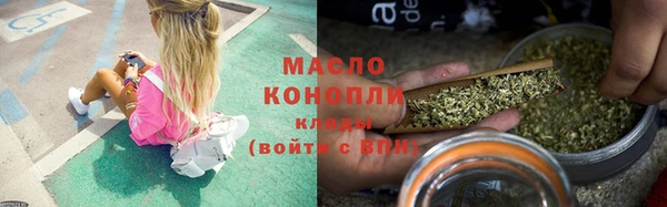 прущий лед Богданович