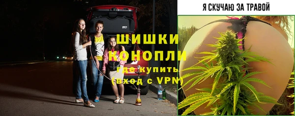 экстази Богородицк